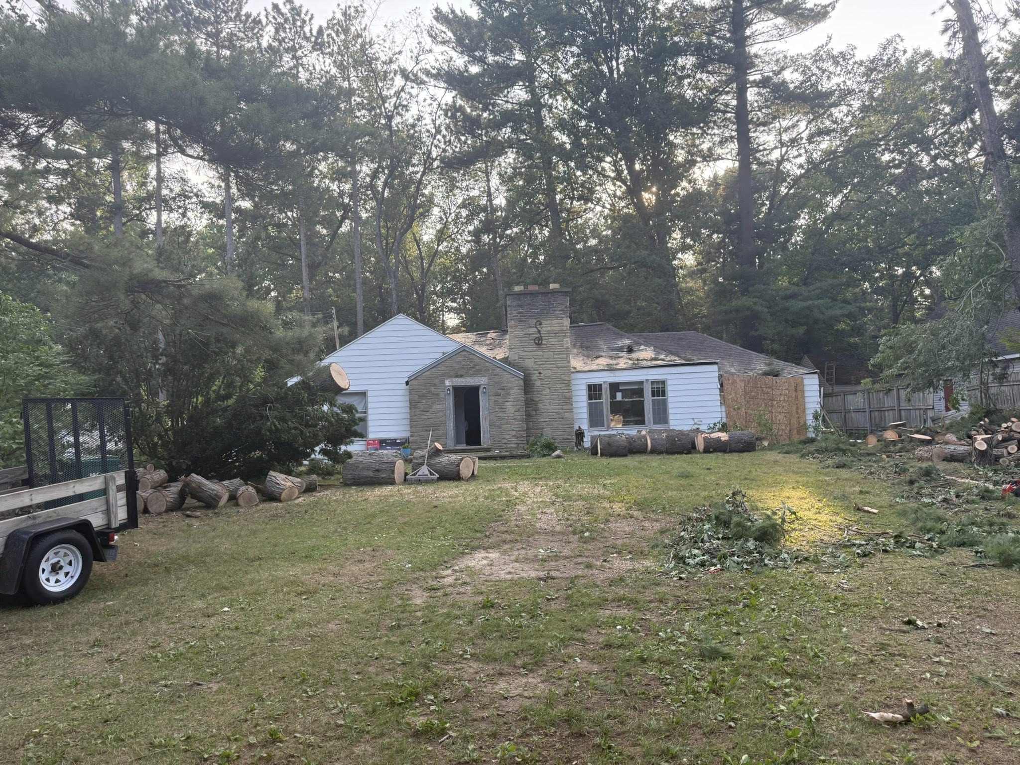 A clean roof after the fallen tree was safely removed