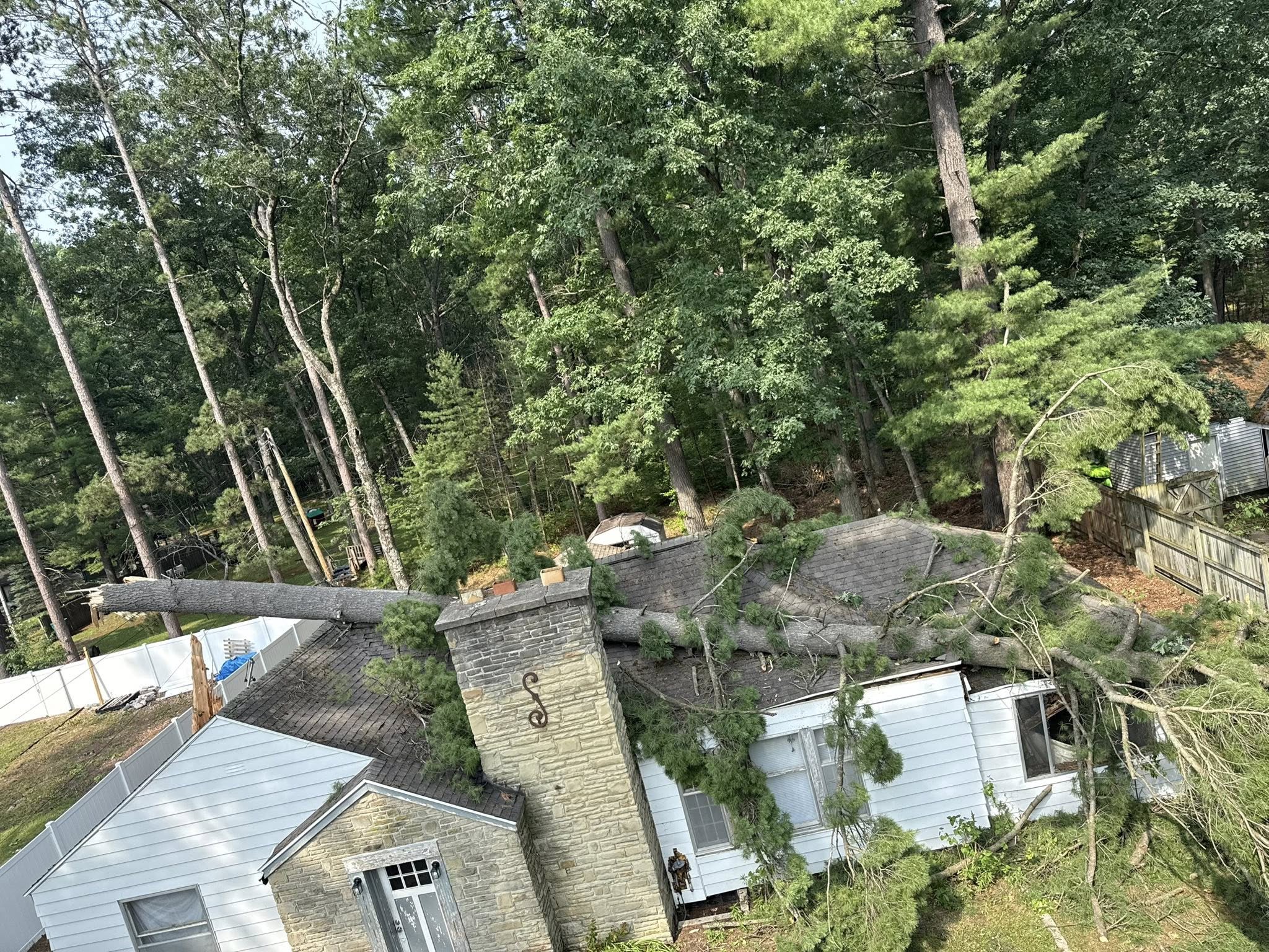 A large fallen tree on a the roof of a house after a storm