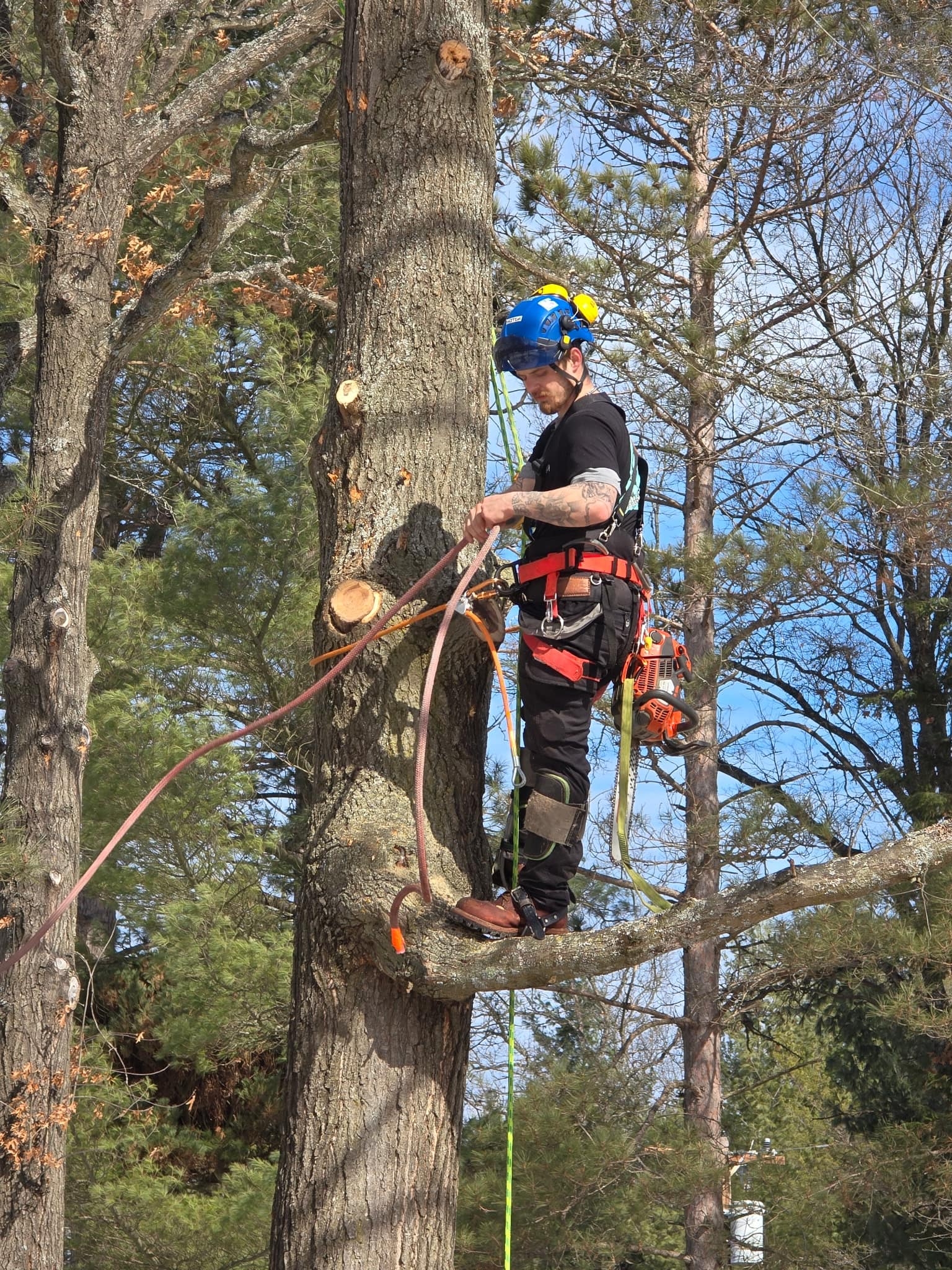 Kyle, the owner and operator of Kyle's Tree Service